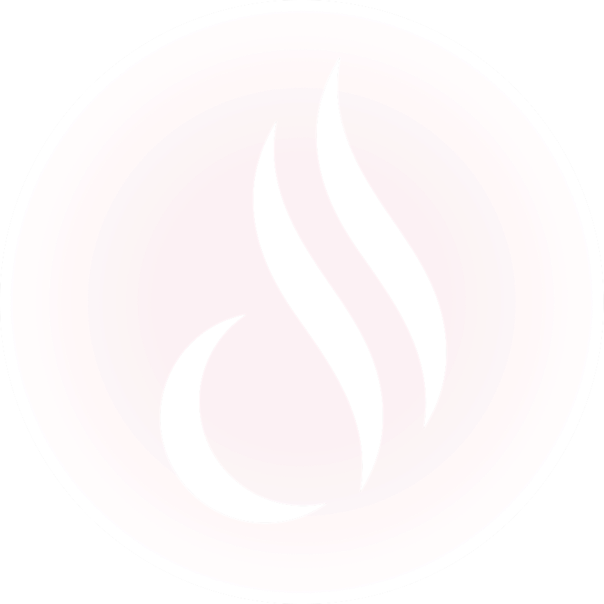 Stylized flame logo on pink background.